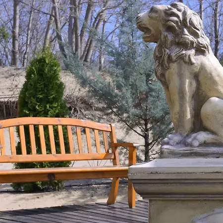 Dune ساني بيتش